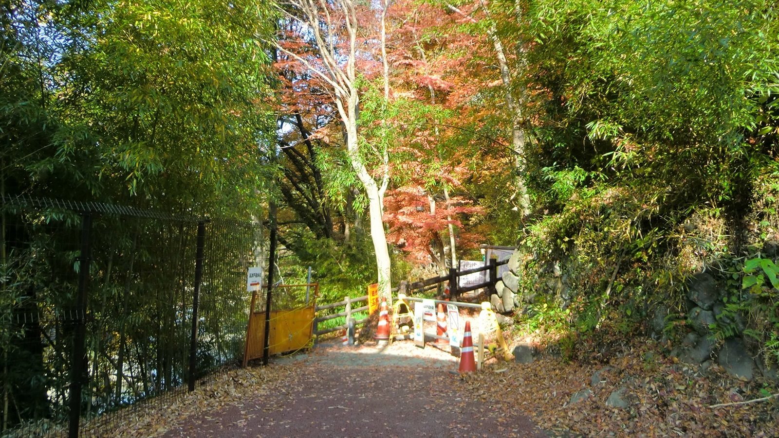 高津戸峡の遊歩道
