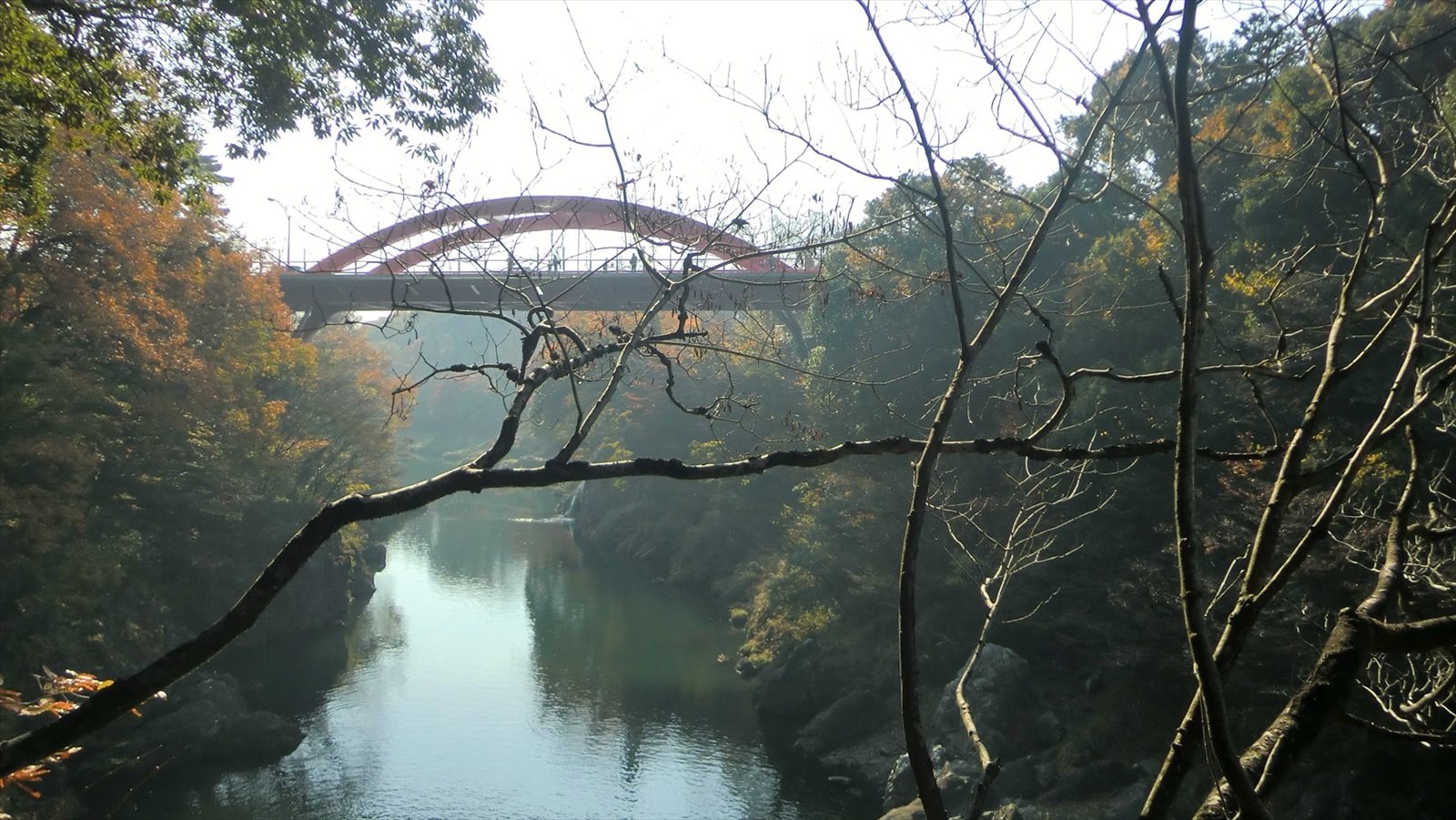 高津戸峡の遊歩道