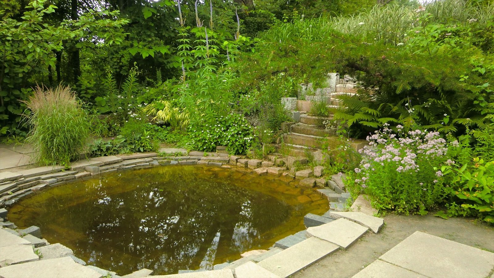 上野ファームにある池